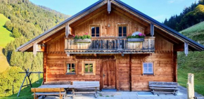 Гостиница Selbstversorgerhütte Nösslau Alm, Динтен